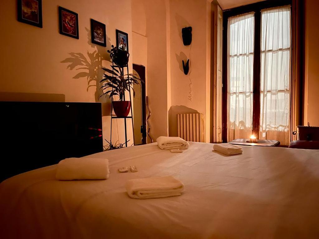 La Stanza Della Giungla Apartman Milánó Kültér fotó