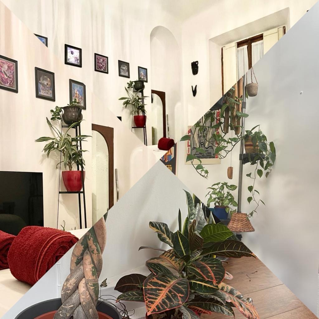 La Stanza Della Giungla Apartman Milánó Kültér fotó